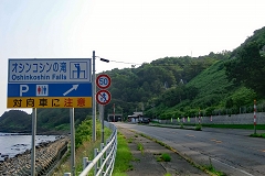 IVRV̑